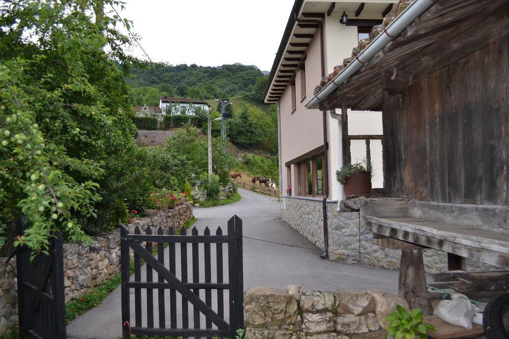 Alesga Hotel Rural - Valles Del Oso -Asturias San Salvador  Exterior foto