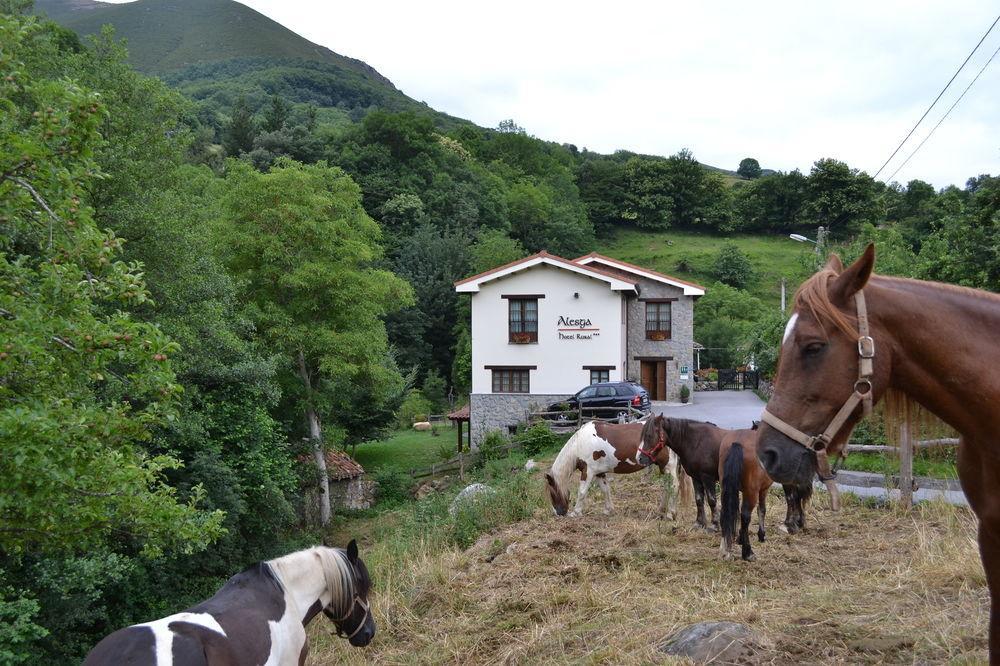 Alesga Hotel Rural - Valles Del Oso -Asturias San Salvador  Exterior foto