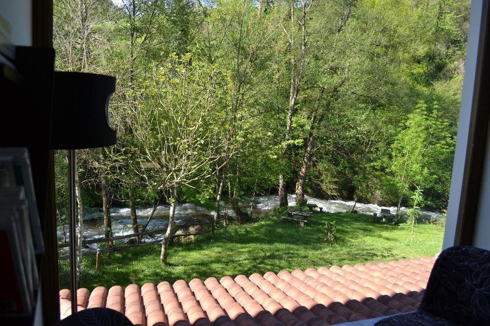 Alesga Hotel Rural - Valles Del Oso -Asturias San Salvador  Exterior foto