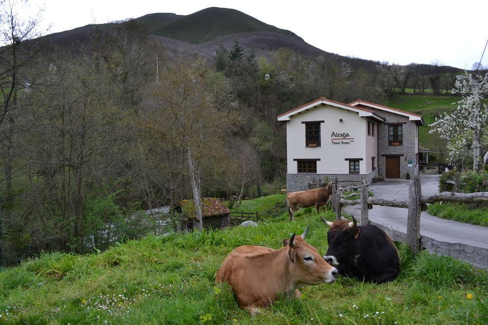 Alesga Hotel Rural - Valles Del Oso -Asturias San Salvador  Exterior foto