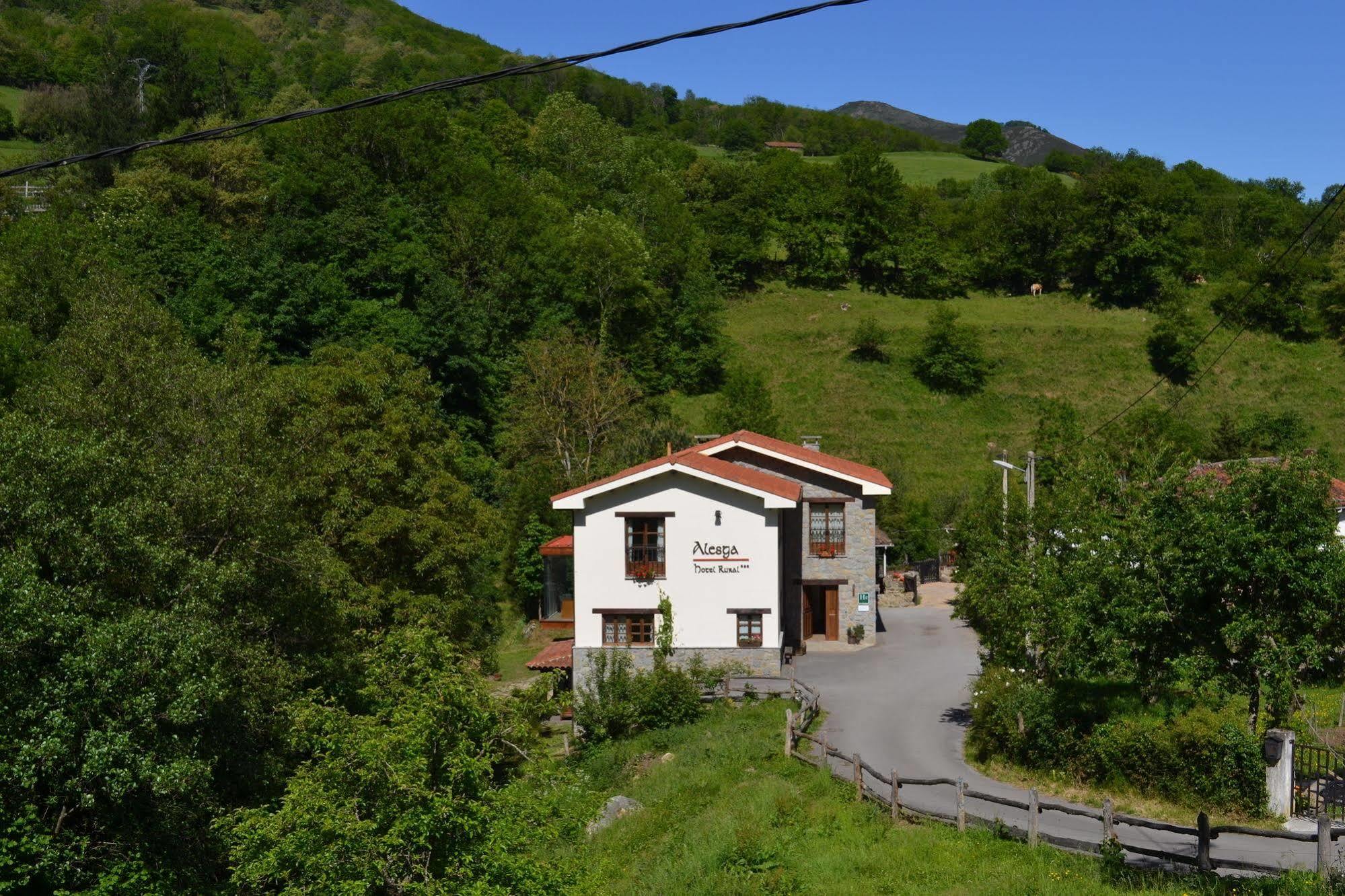 Alesga Hotel Rural - Valles Del Oso -Asturias San Salvador  Exterior foto