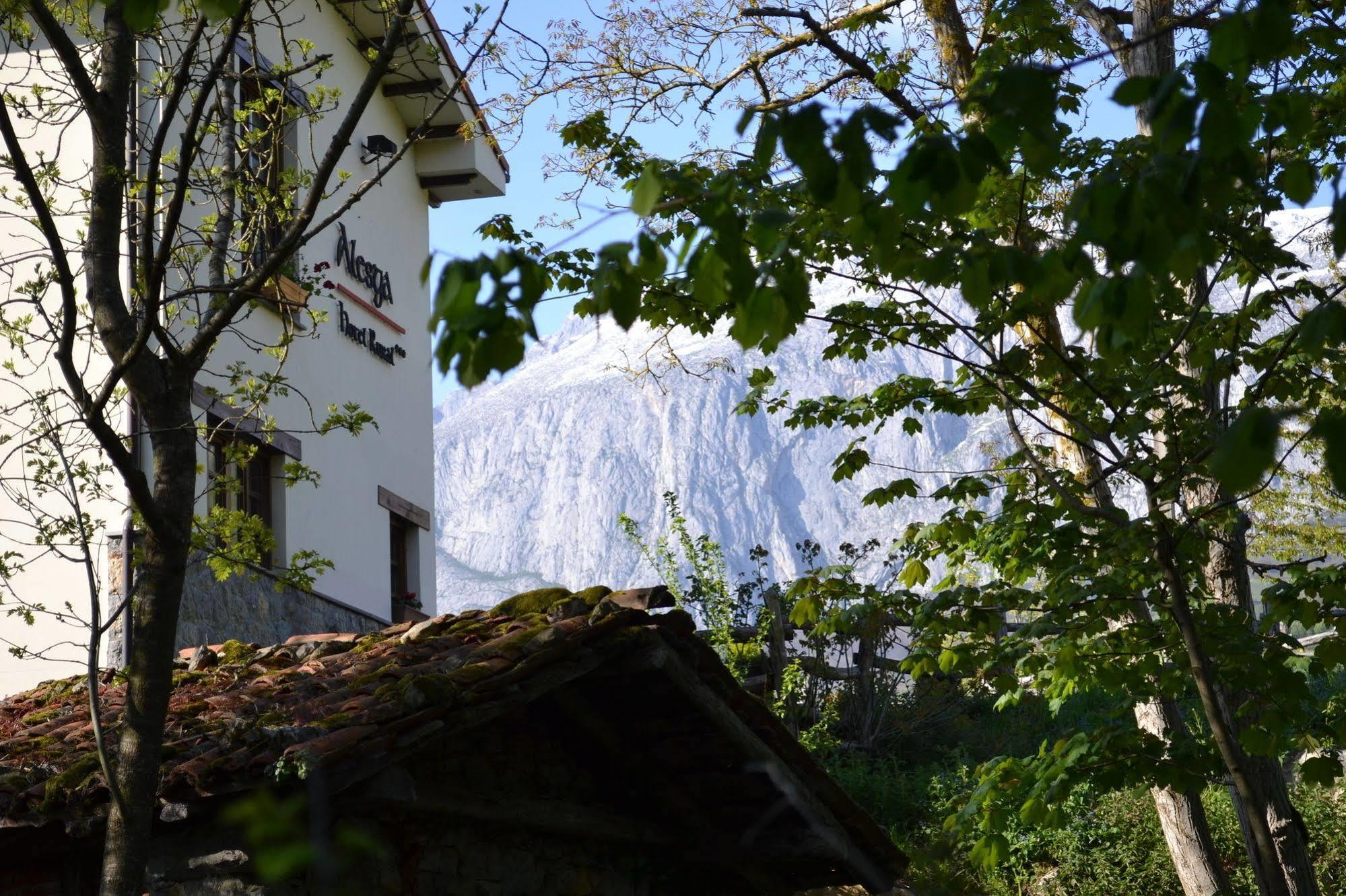 Alesga Hotel Rural - Valles Del Oso -Asturias San Salvador  Exterior foto